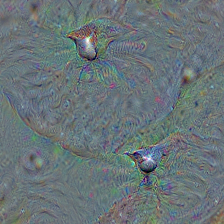 n01601694